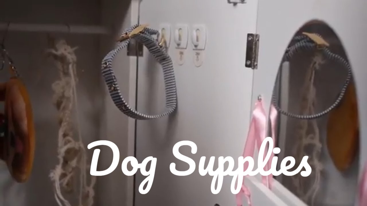 Puppy Closet Tour