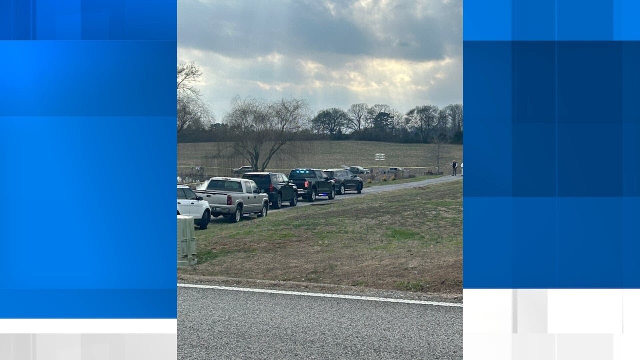 Suspect dead after fleeing deputies, jumping into pond following pursuit in Lauderdale Co.