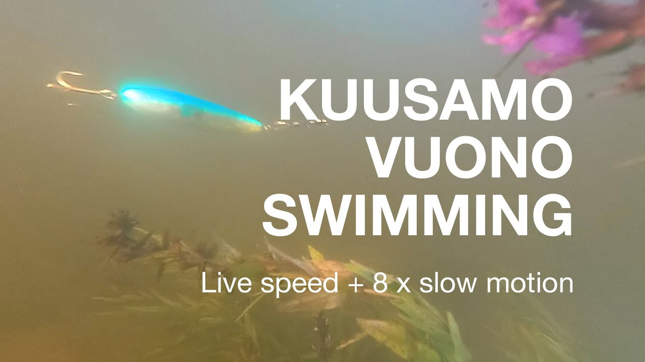 Kuusamon Vuono Lusikka-uistimen uintia.