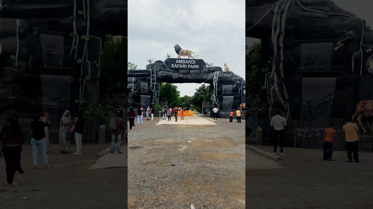 Ambardi safari park dhari  || Amreli Gujarat #wildlife #nature