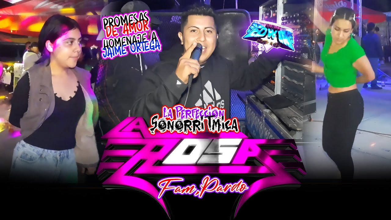 PROMESAS DE AMOR SONIDO LA ROSA  CAÑADA GRANDE HGO