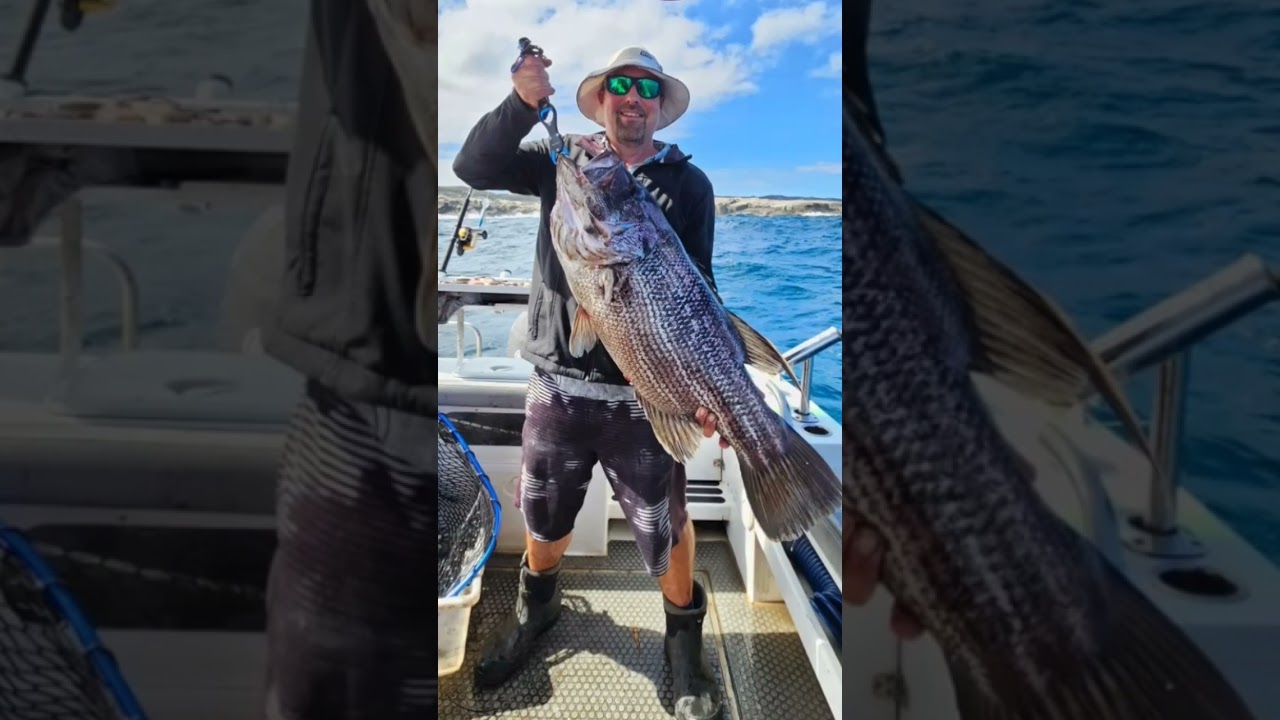 fishing #fishing #wa #fishingwa #fyp #fypシ #fypviral