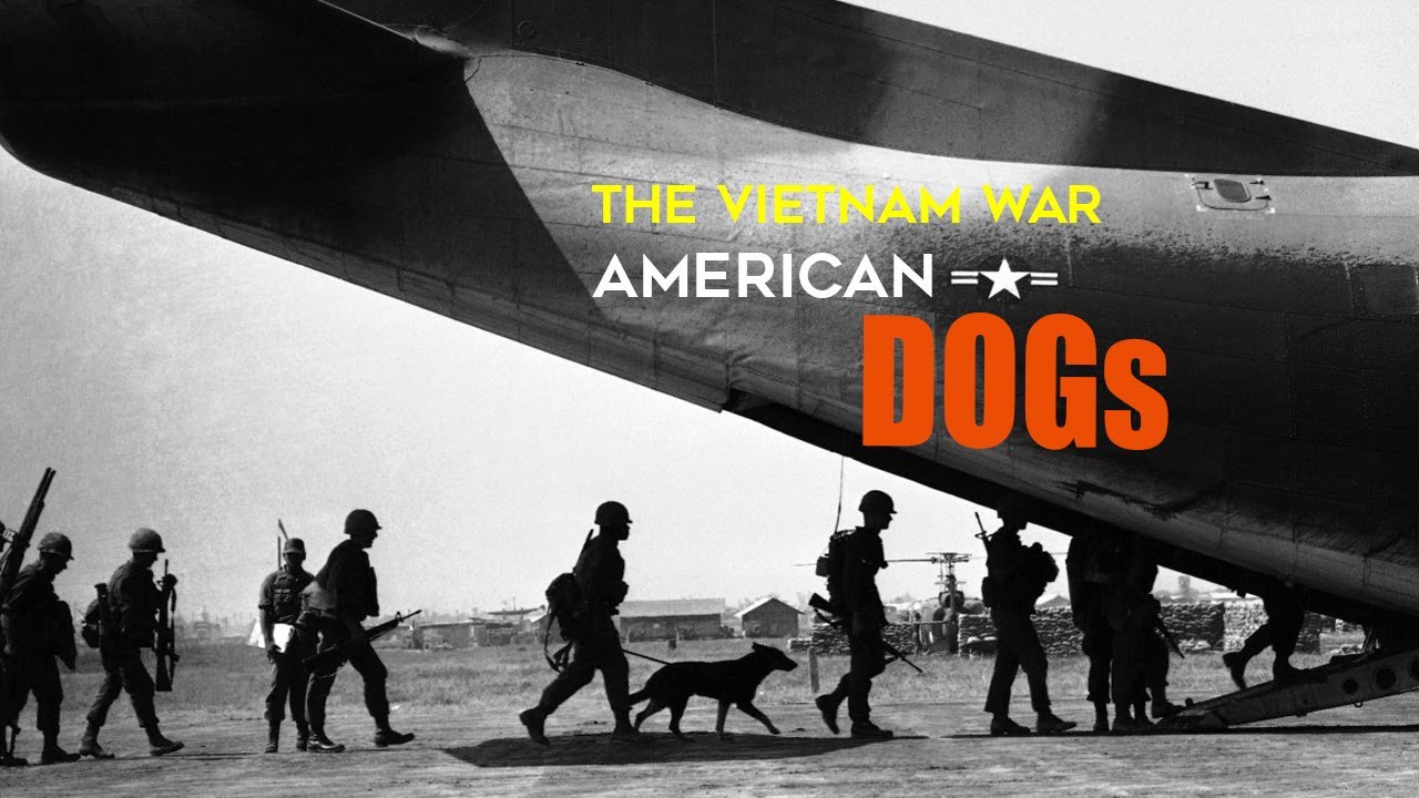 The SAD fate of American military DOGs in the Vietnam Battlefield