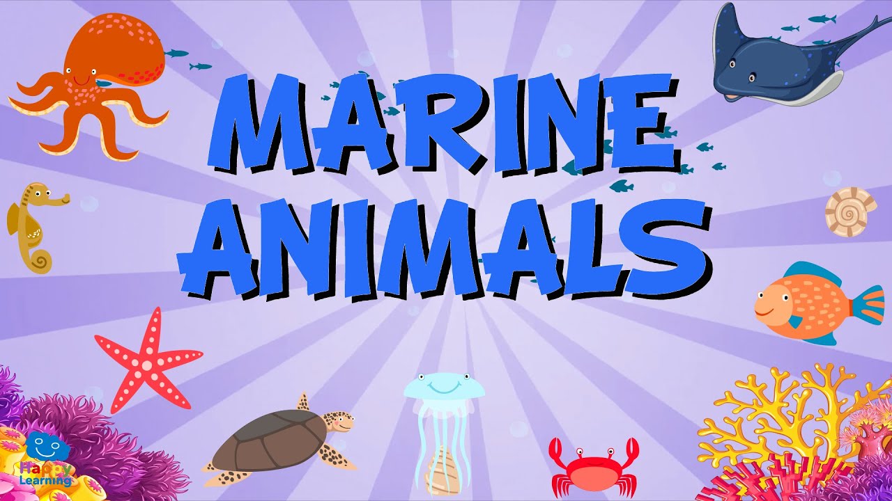 VOCABULARIO LOS ANIMALES MARINOS | Vídeos Educativos para Niños Aprende inglés