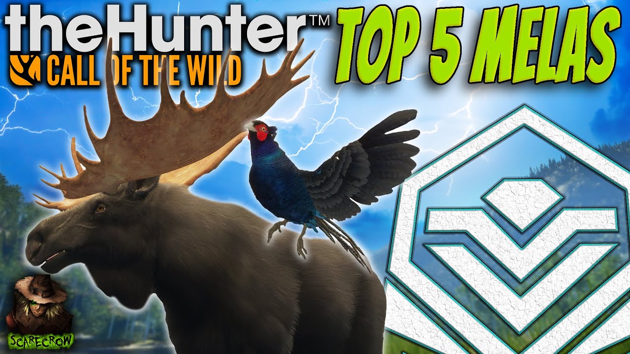 The Top 5 CRAZIEST Melanistic Rares I Have Found in 6000 Hours! Call of the wild