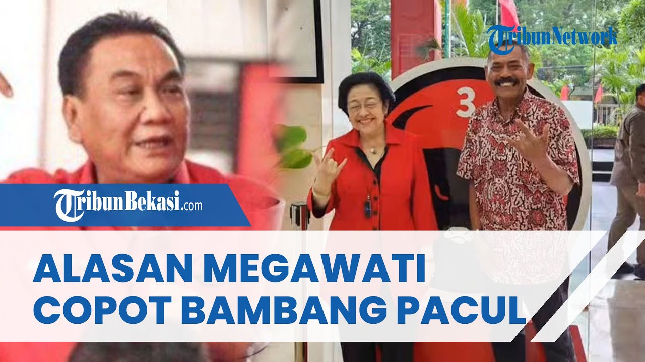 DIGANTI FX RUDY! Inilah Alasan Megawati Copot Bambang Pacul sebagai Ketua DPD PDIP Jateng