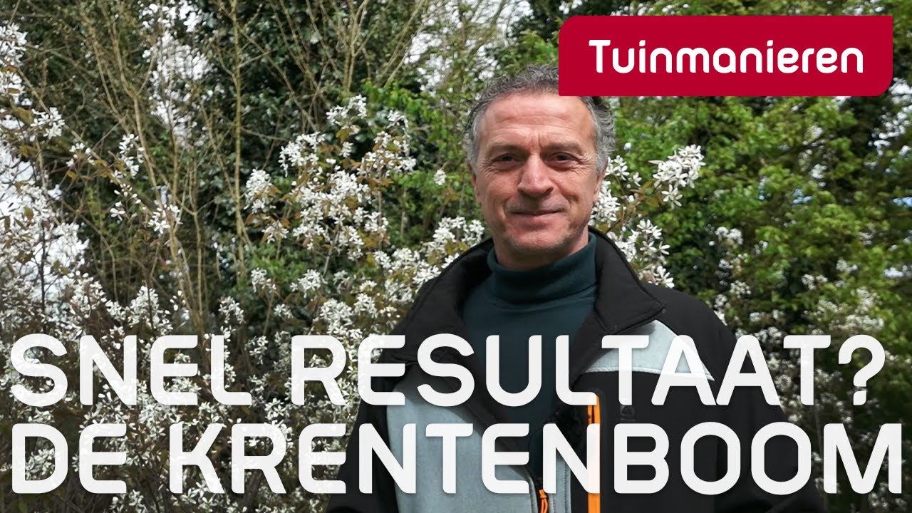 Snel resultaat in de nieuwe tuin? Krentenboom! | Tuinmanieren