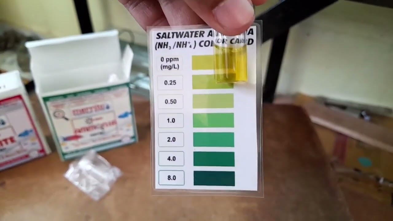 Ammonia and Nitrite Test for Fresh and Salt water aquarium details in Telugu