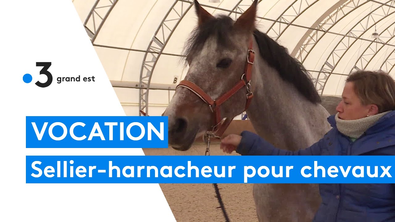 Elle devient sellier-harnacheur, un métier d'art en voie de disparition