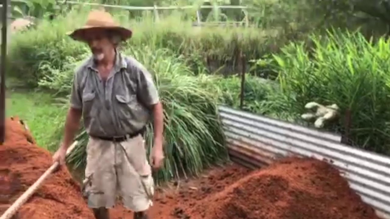 What, how & why with Tom Kendall: Sawdust