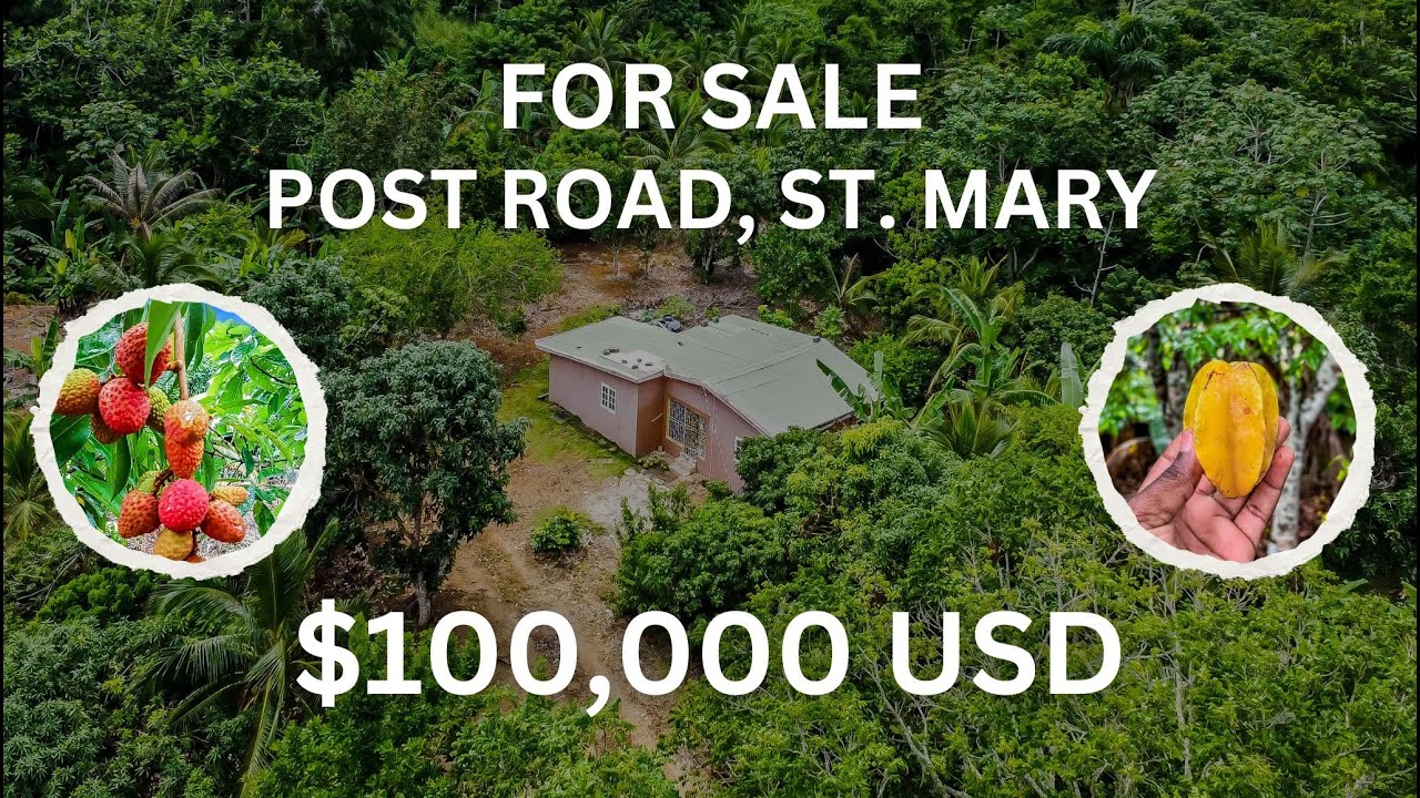 Charming 2-Bedroom Homestead FOR SALE in the Hills of St. Mary!