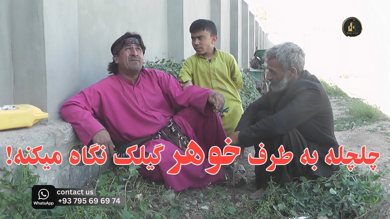 چلچله به طرف خواهر گیلک نگاه میکنه
