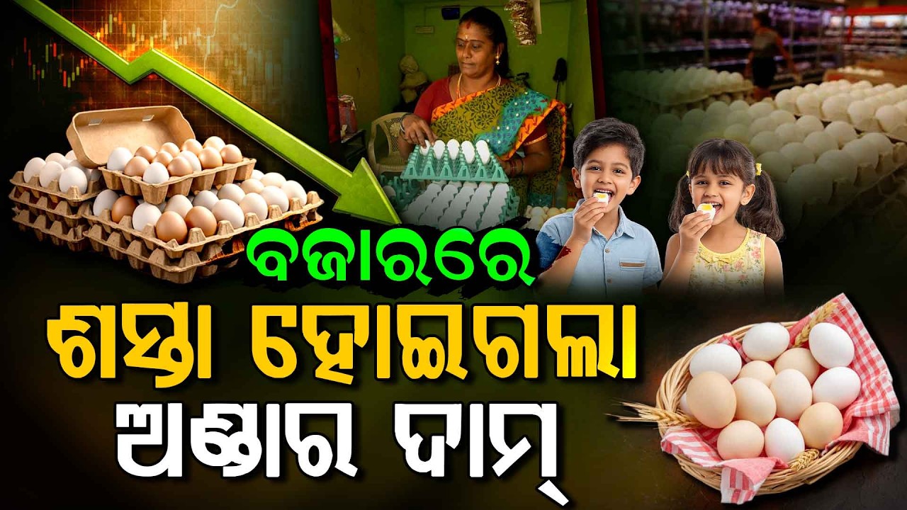 ଭାରତରେ ଶସ୍ତା ହେଲା ଅଣ୍ଡା | Why Egg Prices Dropping in India due to Iran-Israel War? | Argus Digital