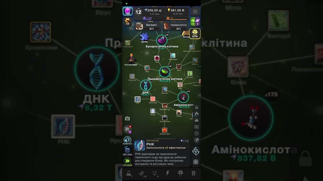 Розказую про еволюцію 