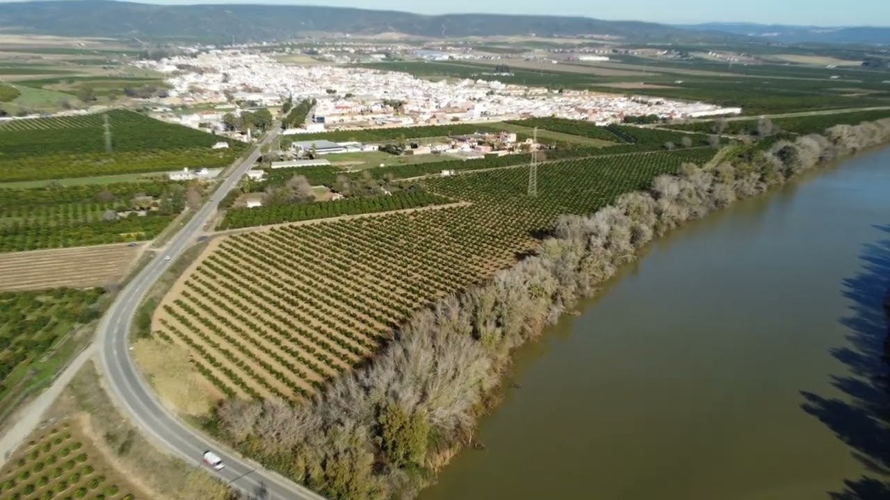 puente viejo de Villaverde del rio