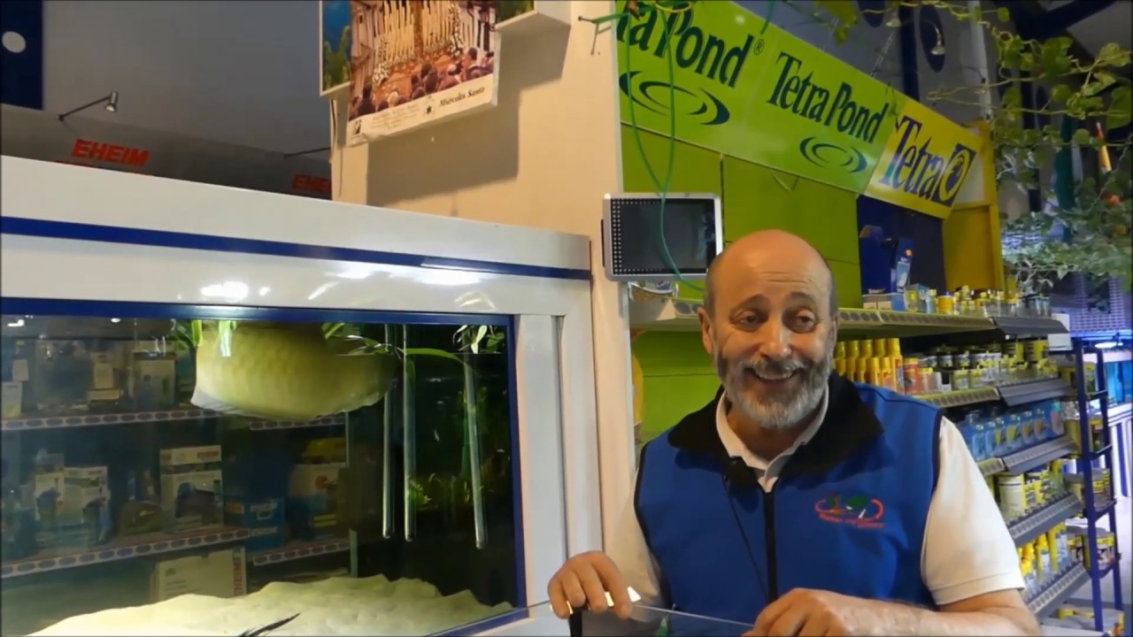 Como reparar un acuario sin desmontar