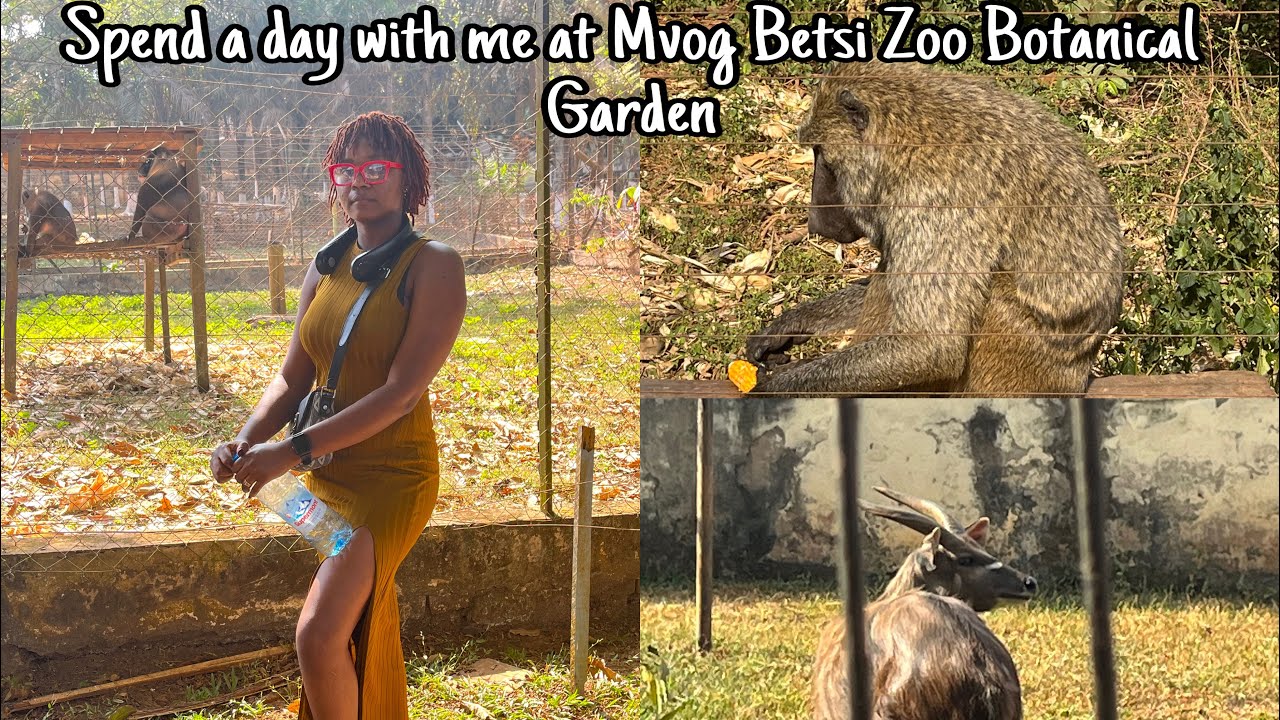 “Discovering Mvog-Betsi Zoo in Yaoundé 🇨🇲🐘🌿”.