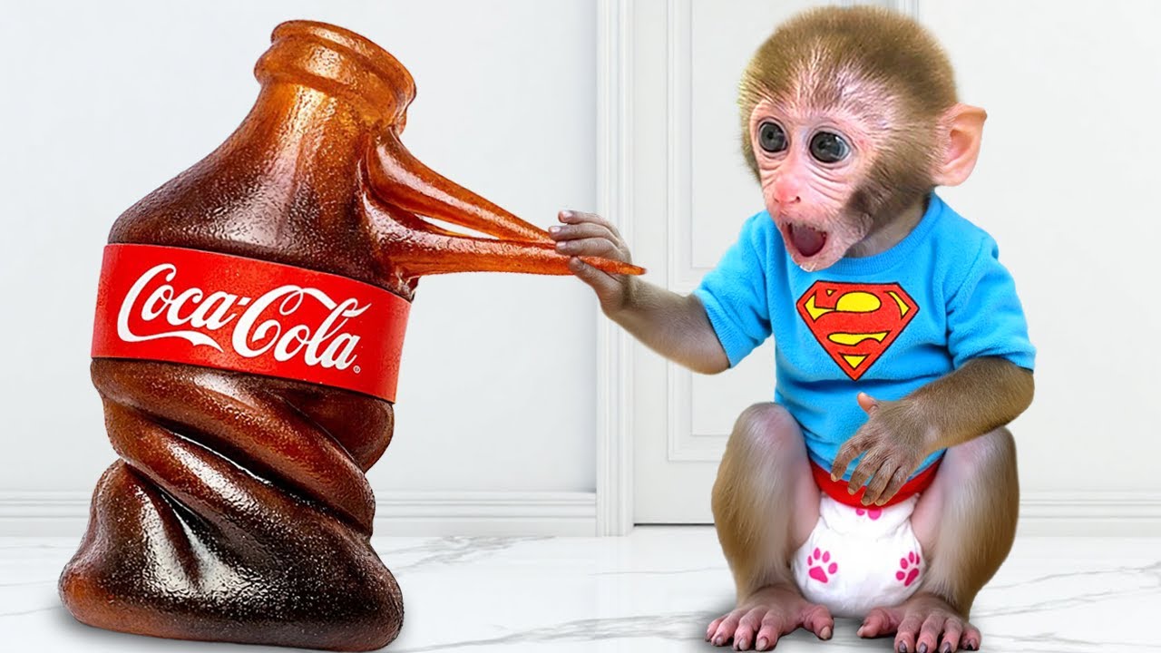 Monkey Baby Bon Bon and little duckling pick a giant watermelon together to make watermelon juice