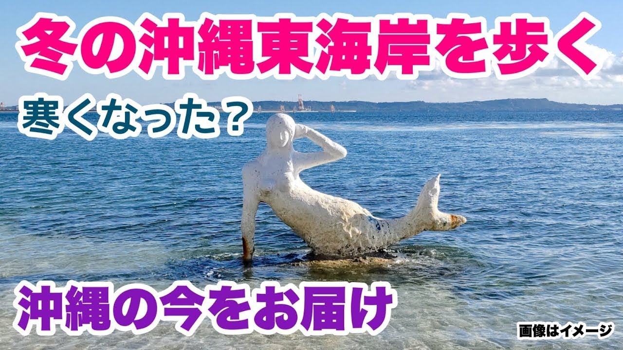 【沖縄の今をお届け】2026年冬 沖縄東海岸の海辺歩き 「沖縄旅行情報」