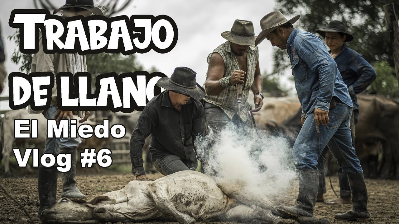 Cómo es un TRABAJO DE LLANO 🤠 -Finca el Miedo  Vlog #6