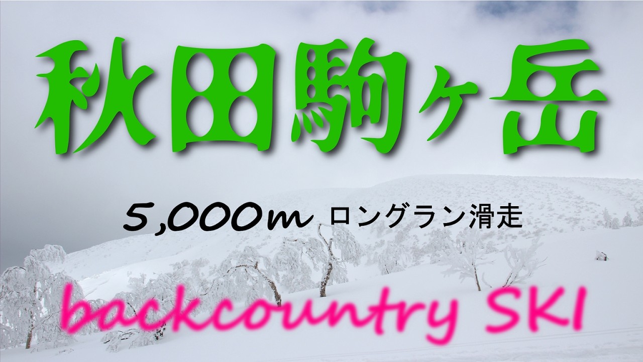 【秋田駒バックカントリー】視界不良、しかし賞味期限内の素晴らしいパウダーが！