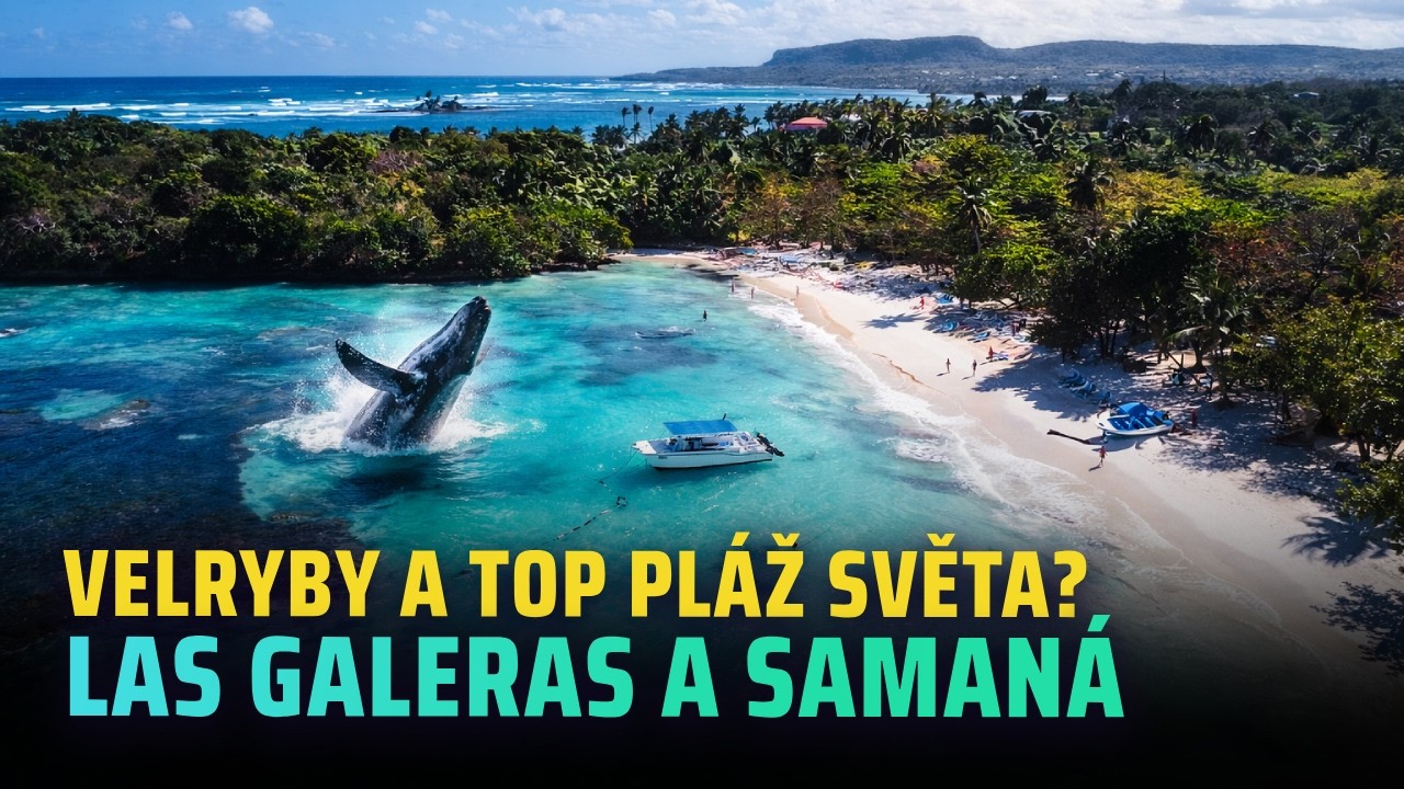 Takhle vypad&aacute; R&Aacute;J - SAMAN&Aacute;! 🌴 Viděli jsme VELRYBY a top PL&Aacute;Ž SVĚTA? LAS GALERAS, RINCON