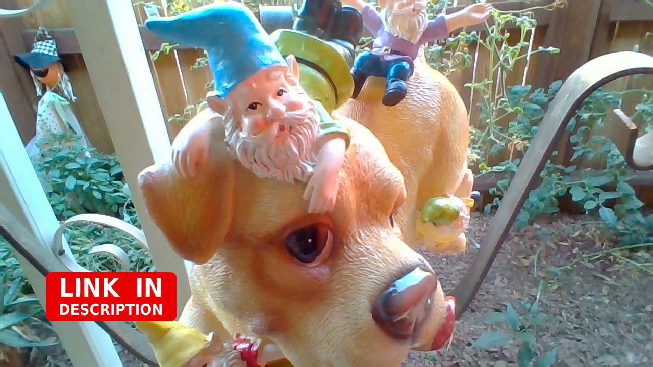TERESA'S COLLECTIONS Dog Gnome Garden Statue and Sculpture, Funny Dog Playing with revieww