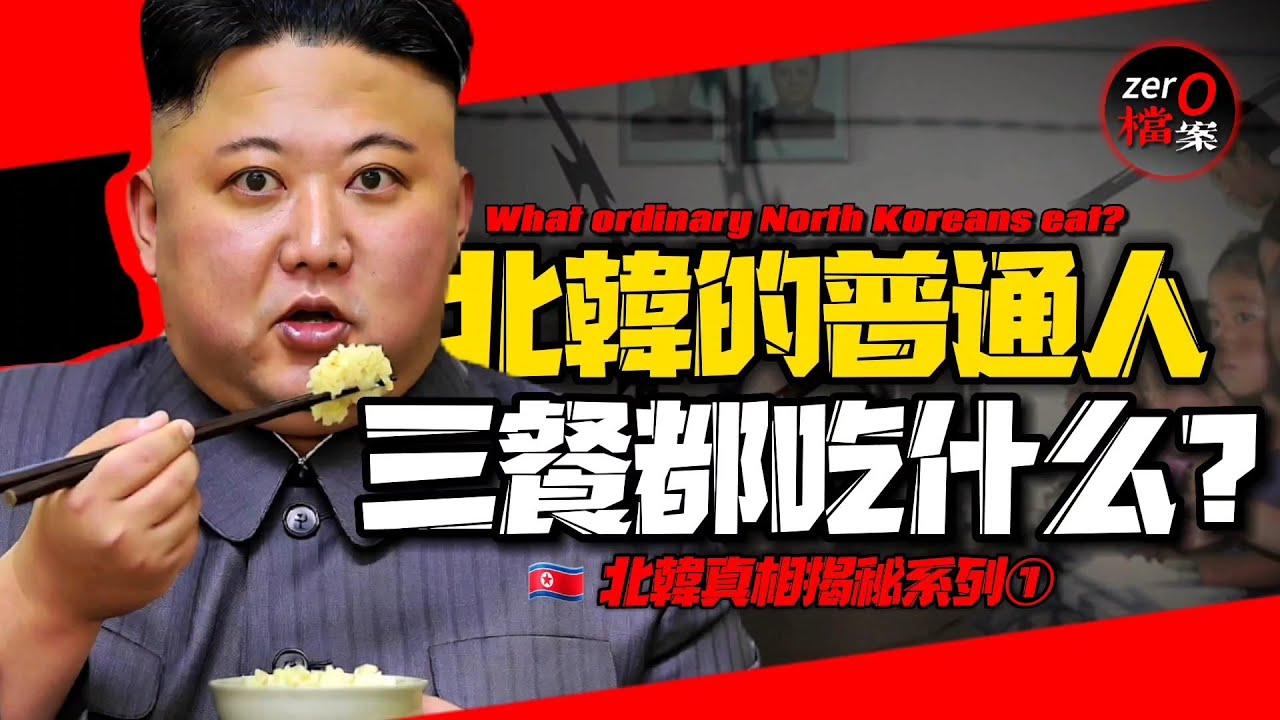 🇰🇵北韓普通人三餐都吃什麼？苦難行軍大饑荒，樹皮都沒得啃？吃豬飼料增肥？偷老鼠存糧活命？能活下來的都是罪犯？ | [AI諷刺搞笑配音] | Pardoy Dubbing | Satire