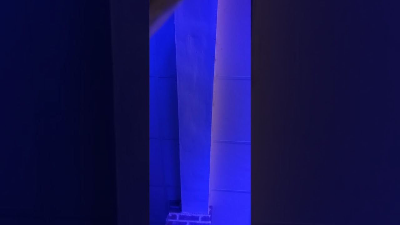 @DidgeFX another live performance of beats and didgeridoos with accompaniment in UV