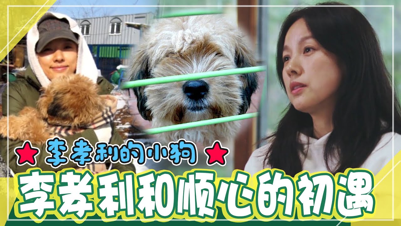 [中文字幕] 🐕李孝利和顺心在保护所的初遇“我得养它”ㅣ动物农场