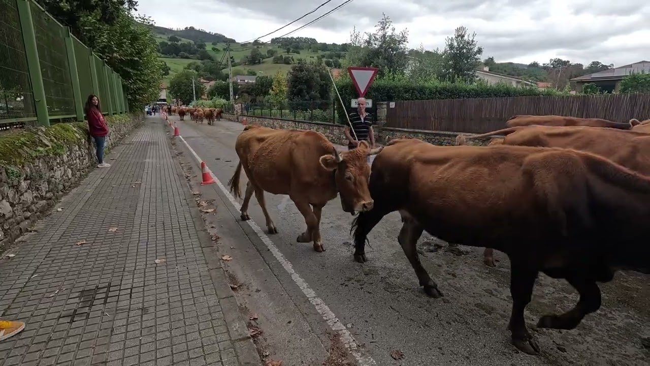 FERIA DE CORVERA DE TORANZO 2025
