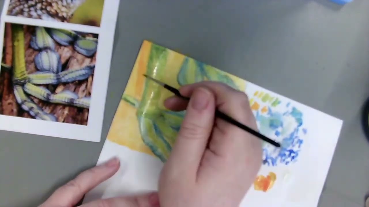 Year 9 bird painting section