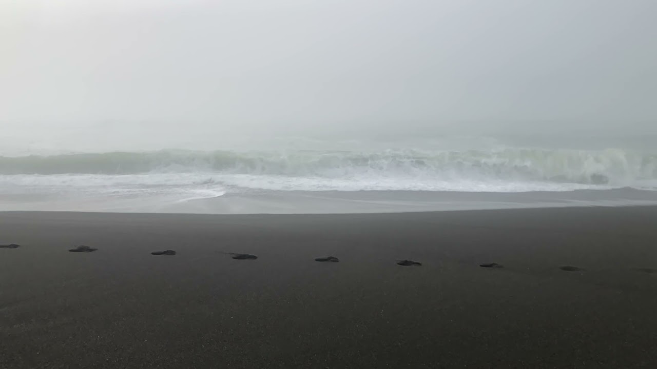 Pacifica - Sharp Park Beach