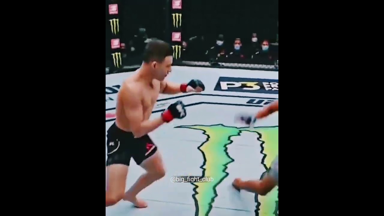 Great exchange of blows UFC MMA
