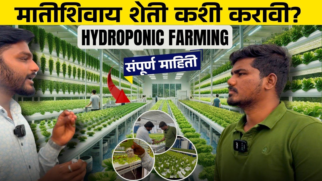 😲 मातीशिवाय भाजीपाला पिकवता येतो? | Hydroponic शेती | पाण्यावरची शेती |