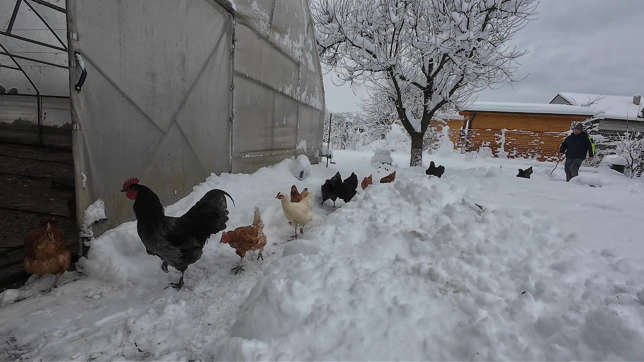 O iarnă cum nu a mai fost de mult timp