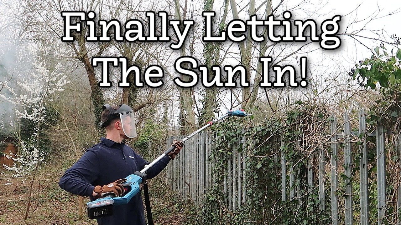 Letting the Sunlight Back Onto My Allotment - Using a Erbauer pole saw