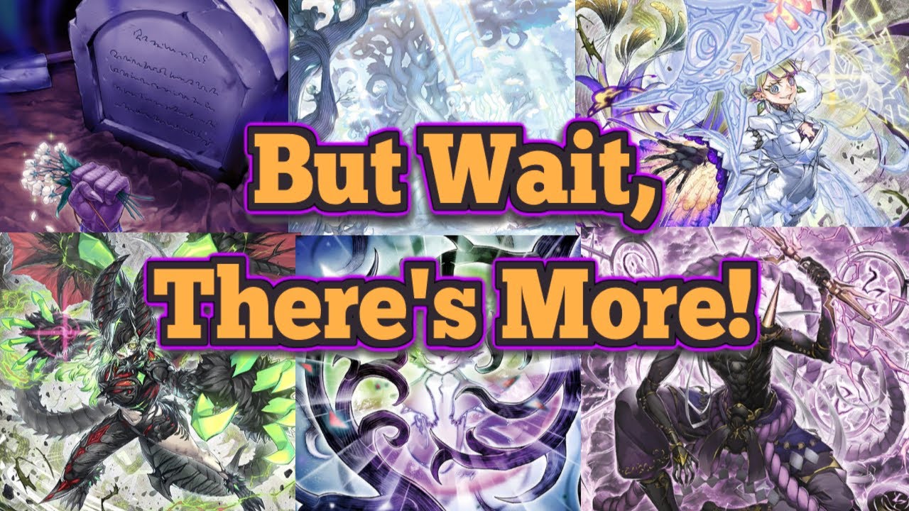 WF BEGINNER'S GUIDE #2: Alliance Insight