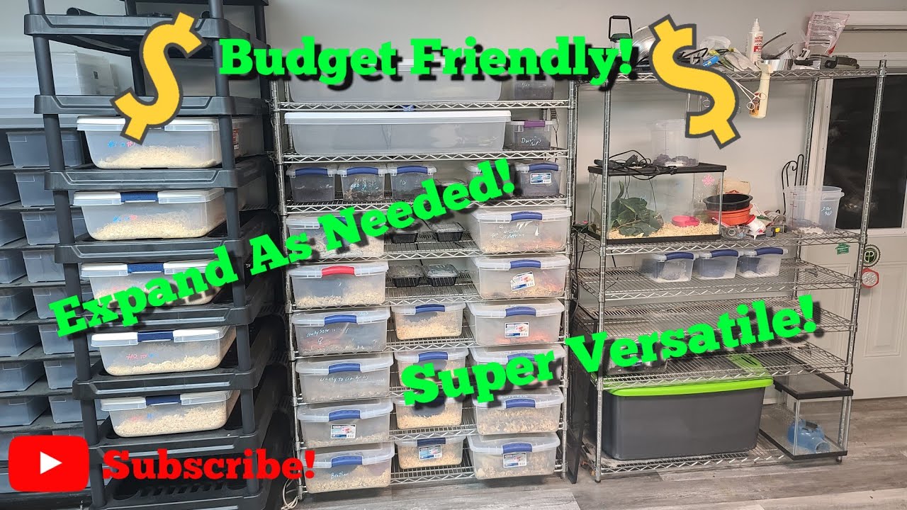 The Most Versatile, Budget Friendly, Expandable, DIY Snake Rack!