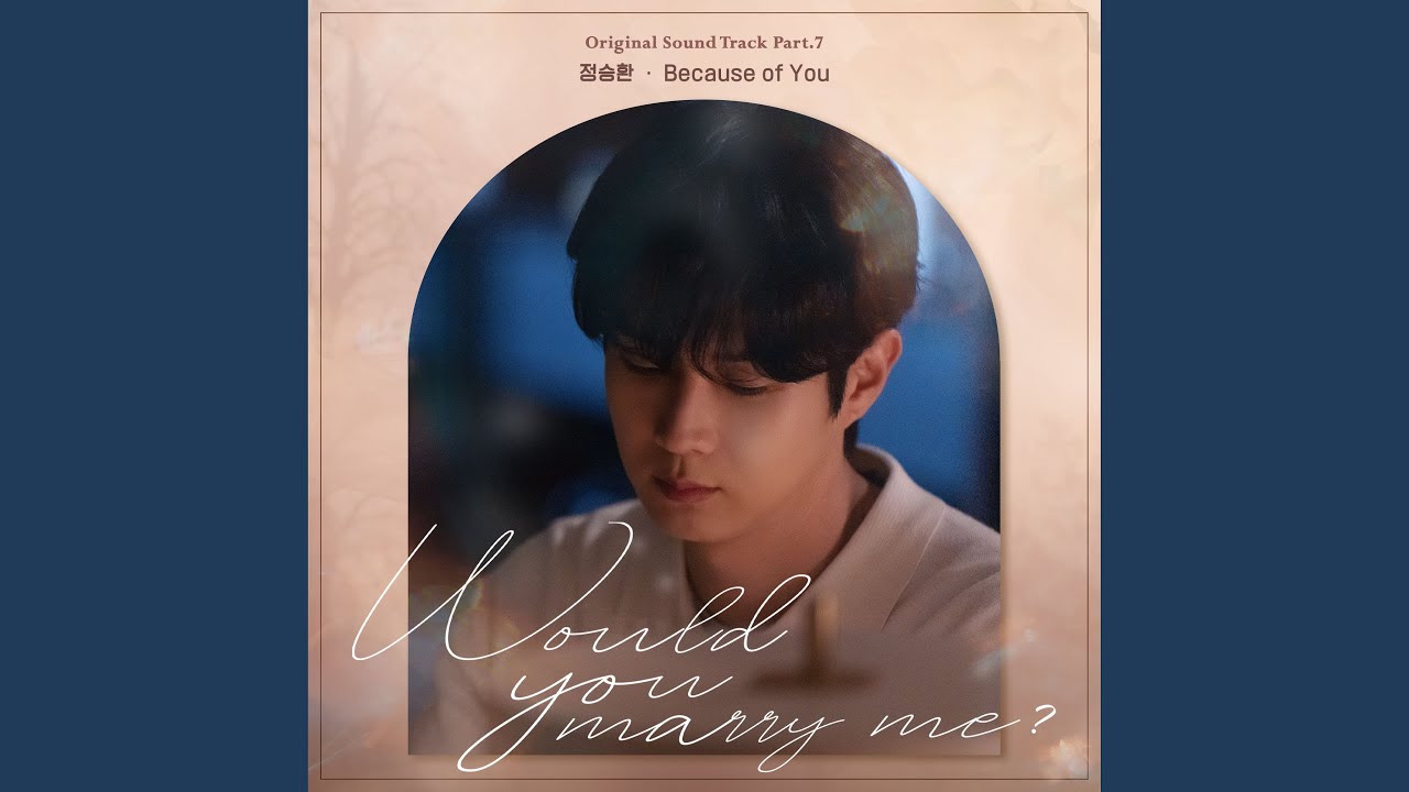 Because of You (Would You Marry Me? : Original Television Soundtrack)
