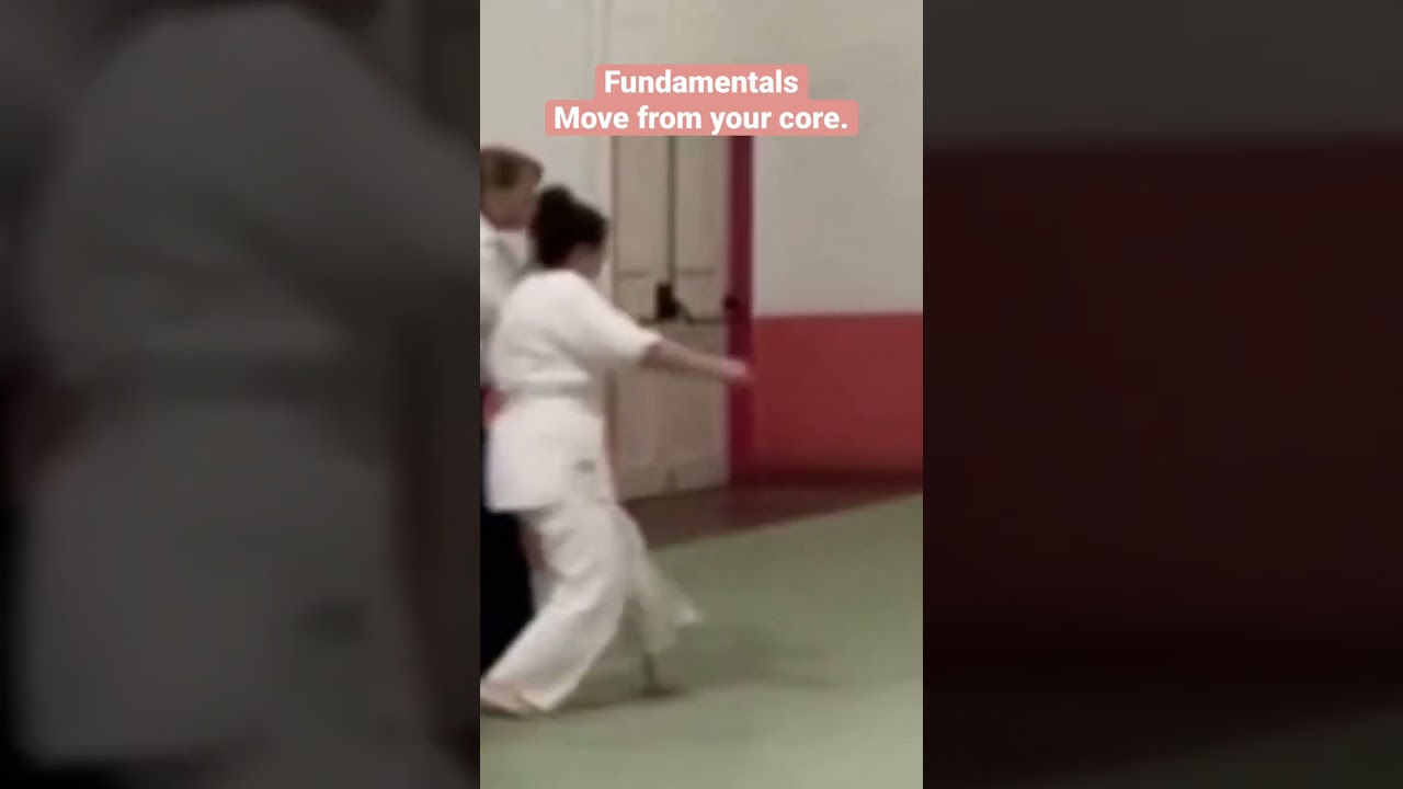 #AIKIDO #Fundamentals: Move from your core #aikidoseminar