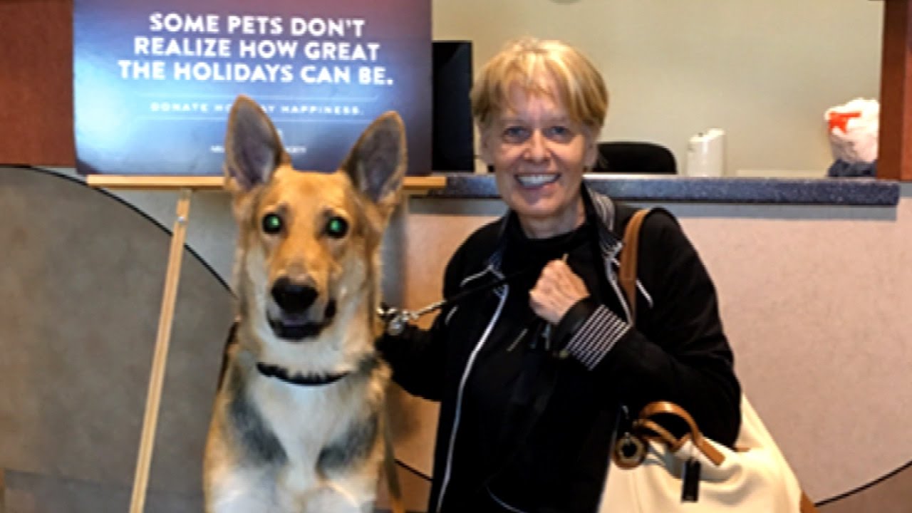 Kind Couple Adopts Blind Dog Who Was The Last Animal Left At Shelter