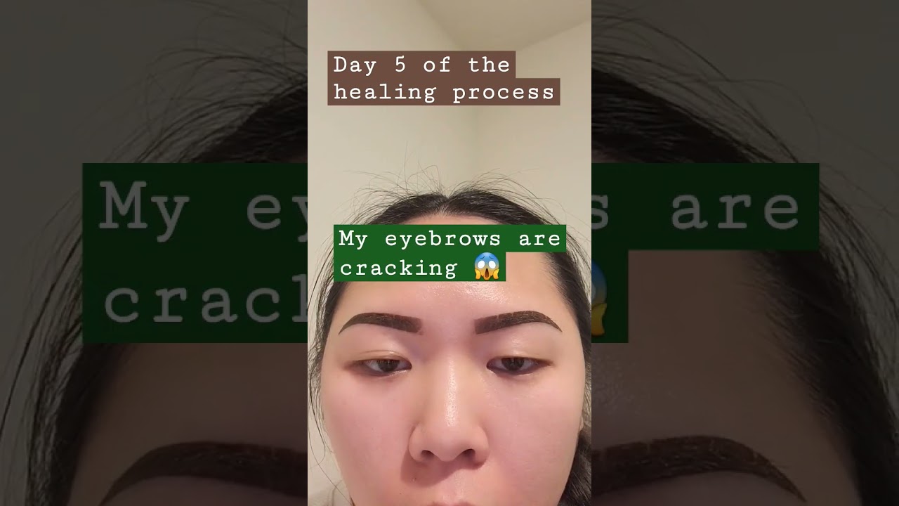 Ombre powder brows healing process day 5! #ombrepowderbrows #healingprocess