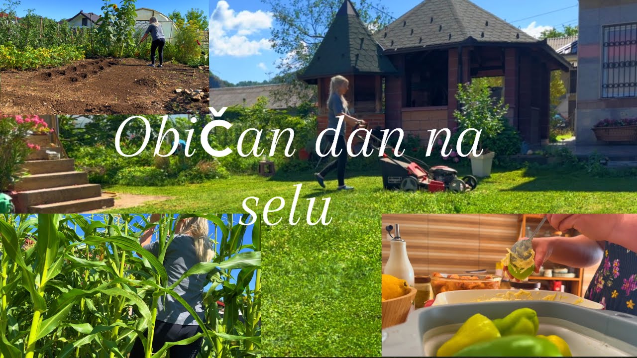 🌹OBIČAN DAN NA SELU🌹DRUGAČIJE PUNJENE PAPRIKE-bez mesa/NOVA SADNJA/BRZA LJETNA VECERA/Svakodnevnica🌹