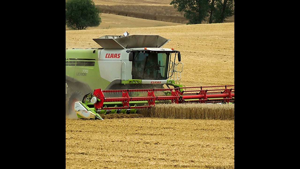 Grain Markets: Global Challenges and Supply Outlook with James Nolan