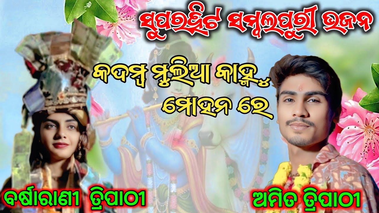 କଦମ୍ବ ମୁଲିଆ କାହ୍ନୁ ମୋହନ ରେ //ସୁପରହିଟ ସମ୍ୱଲପୁରୀ ଭ ଜନ //ବର୍ଷାରାଣୀ ତ୍ରିପାଠୀ Vs ଅମିତ ତ୍ରିପାଠୀ #smdmtv