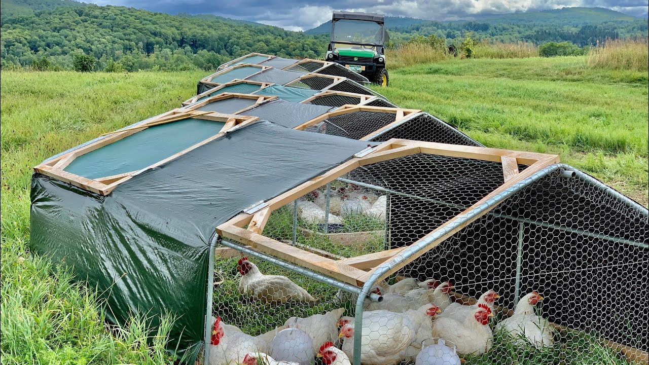 Most Efficient Chicken Tractor for Raising Meat Birds