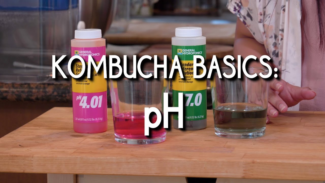 Kombucha Basics: pH