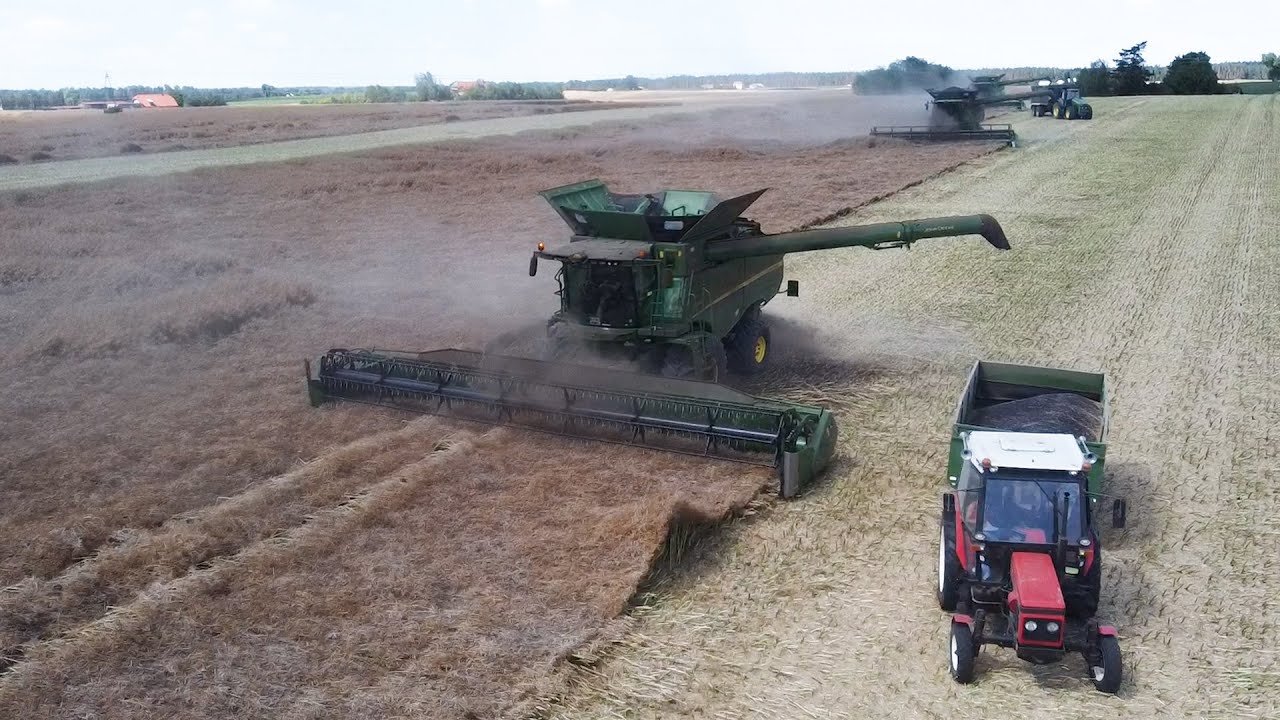 Żniwa Rzepaku 2022 | AGROFarm TV