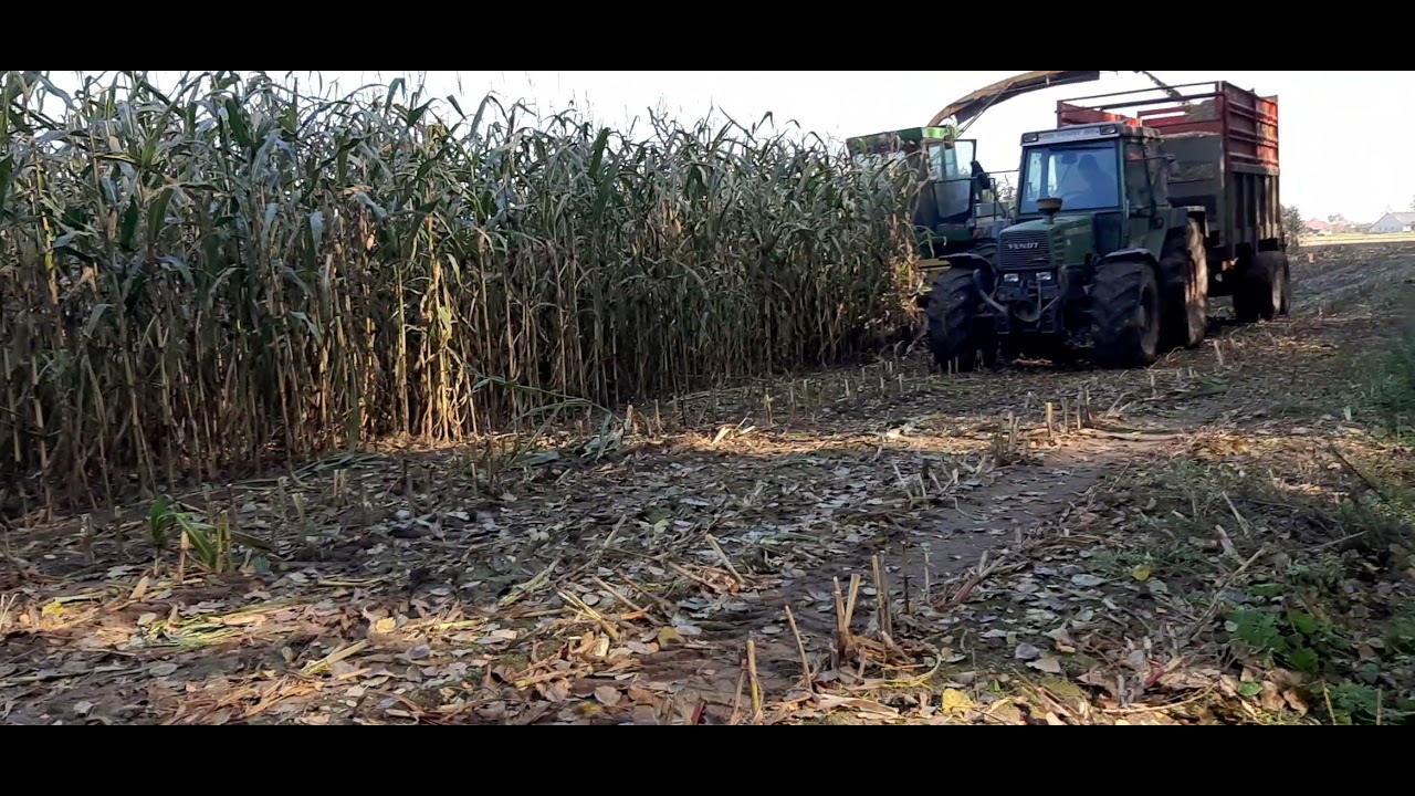 John Deere 5460 koszenie kukurydzy 21